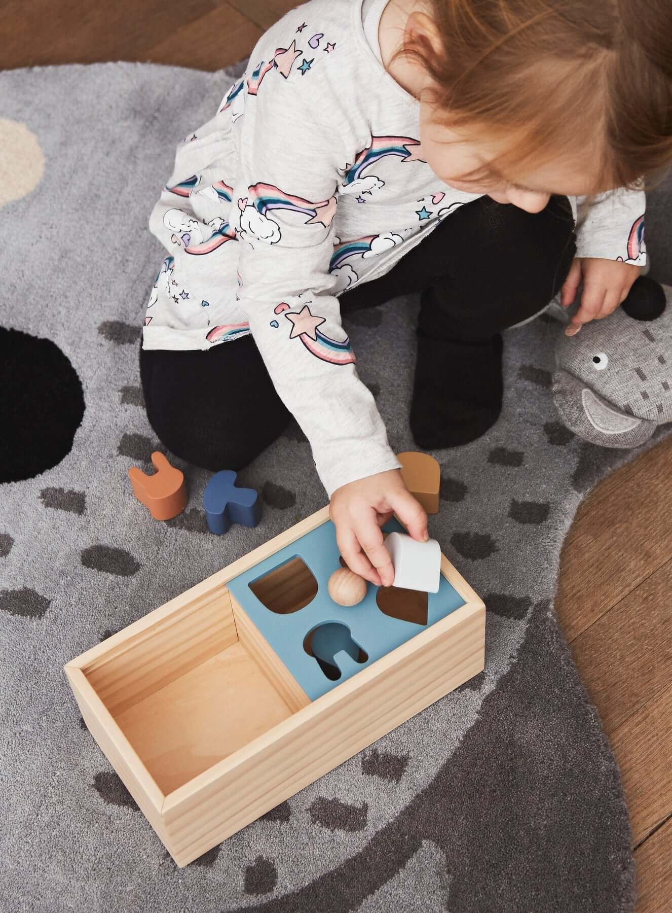 Wooden Puzzle Box - Nature