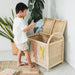 MOMIJI Anais Toy Trunk MOMIJI US LLC
