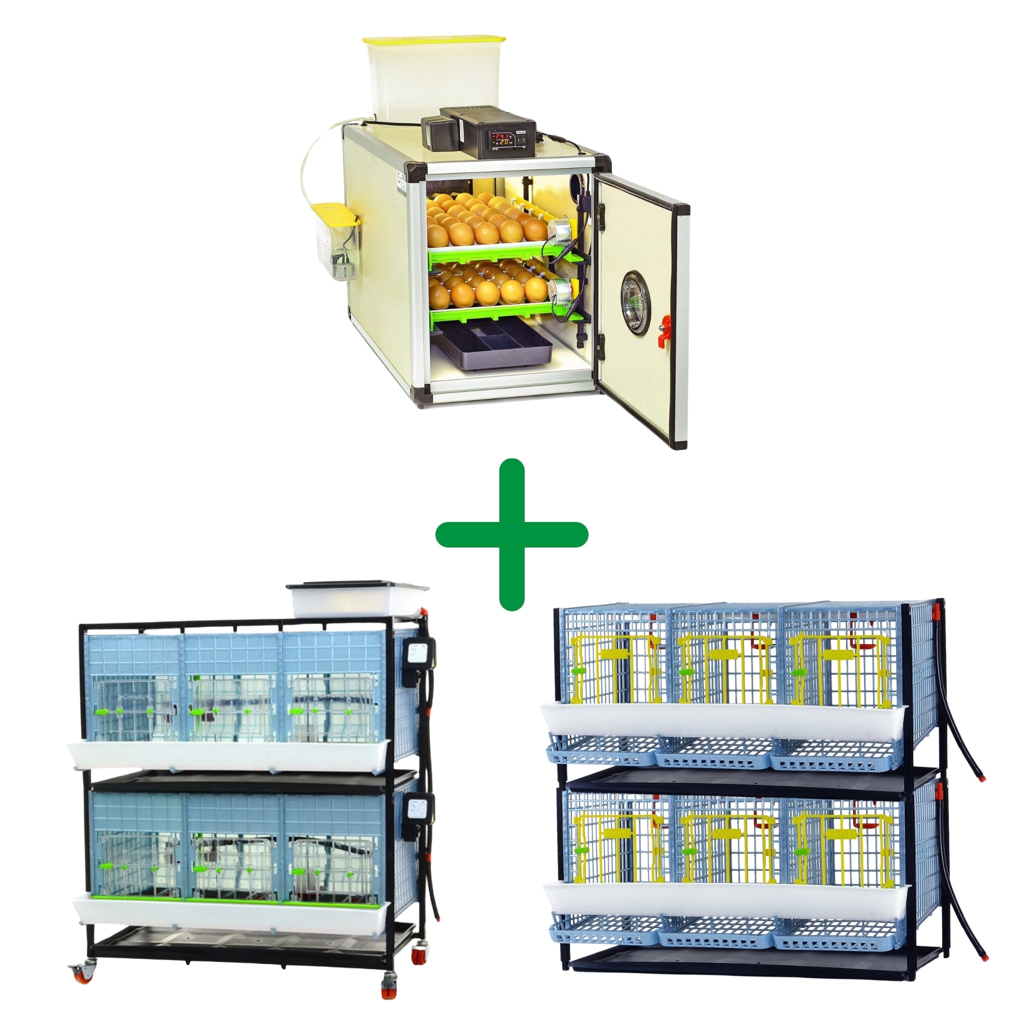 Hatching Time Breeding - Chicken Semi-Pro Kit