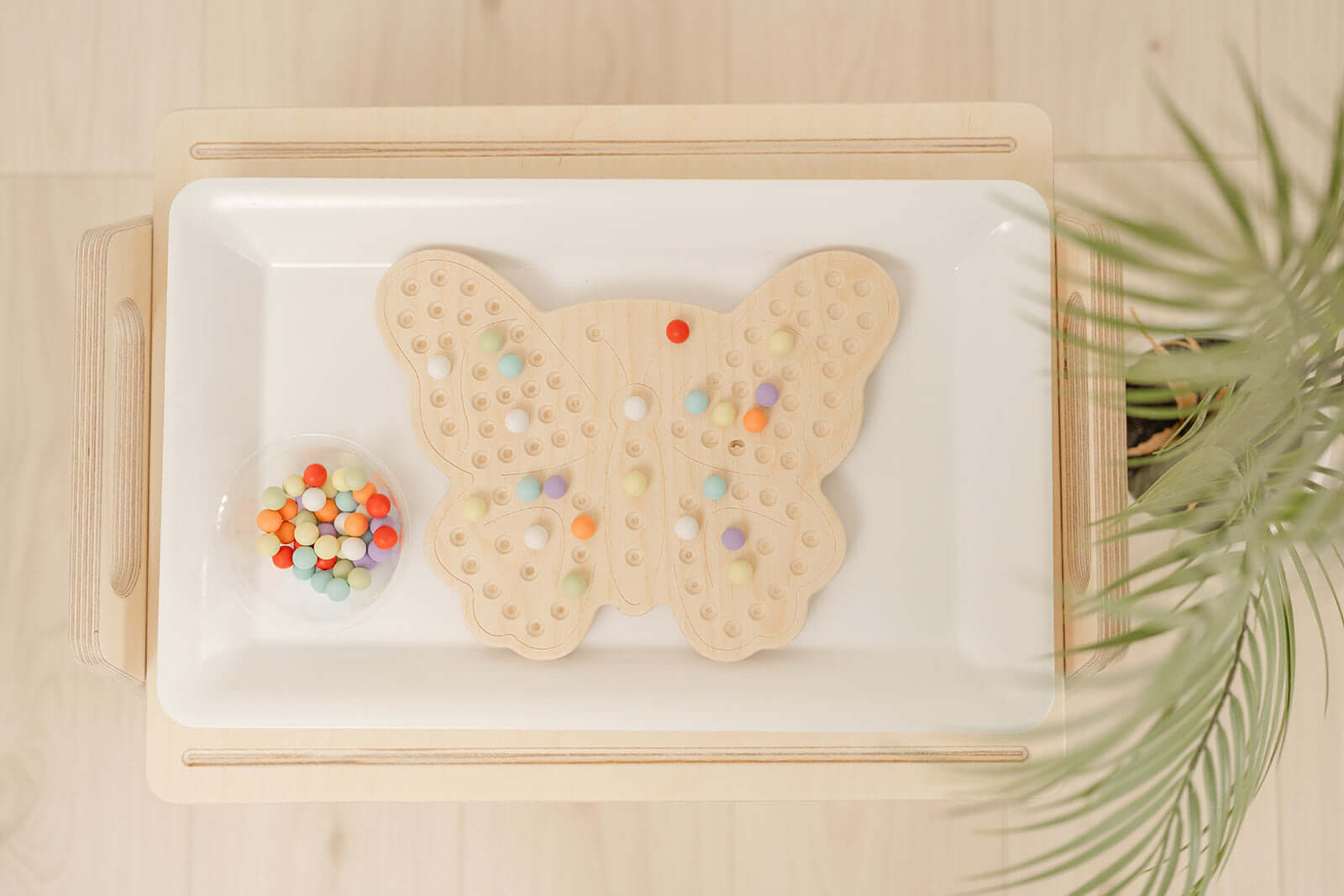 Butterfly Activity Board