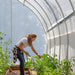 Bootstrap Famer Gothic High Tunnel Greenhouse Girl Watering