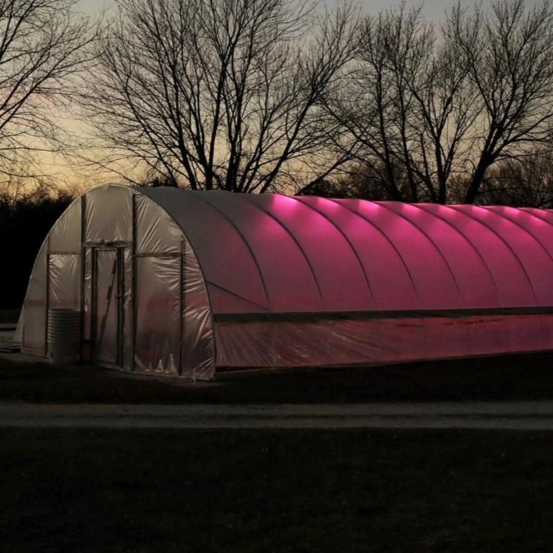 Bootstrap Farmer Greenhouse dusk photo