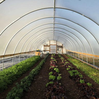 Bootstrap Farmer High Tunnel Greenhouse