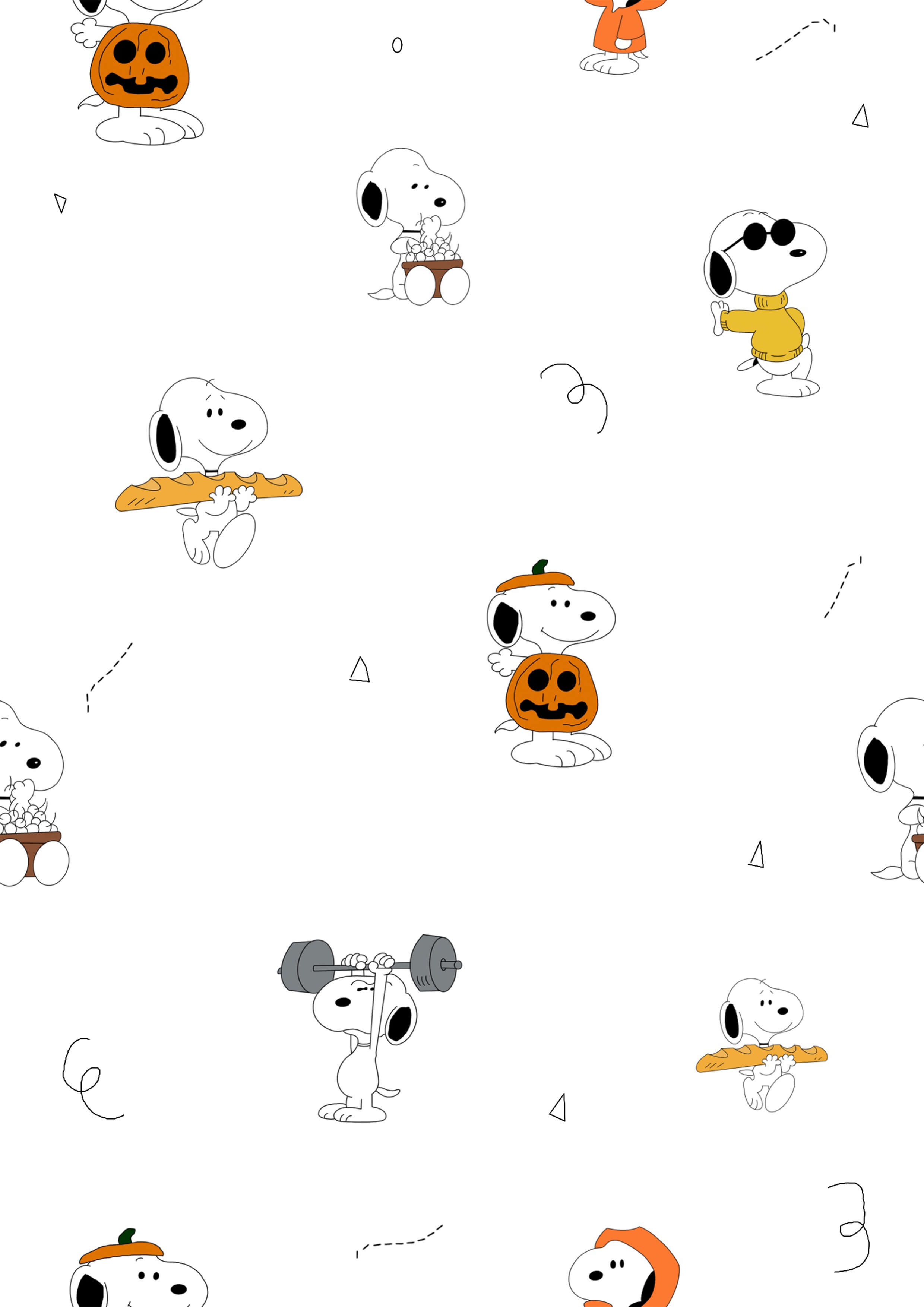 PushpLinen Cartoon Snoopy Printed Canopy