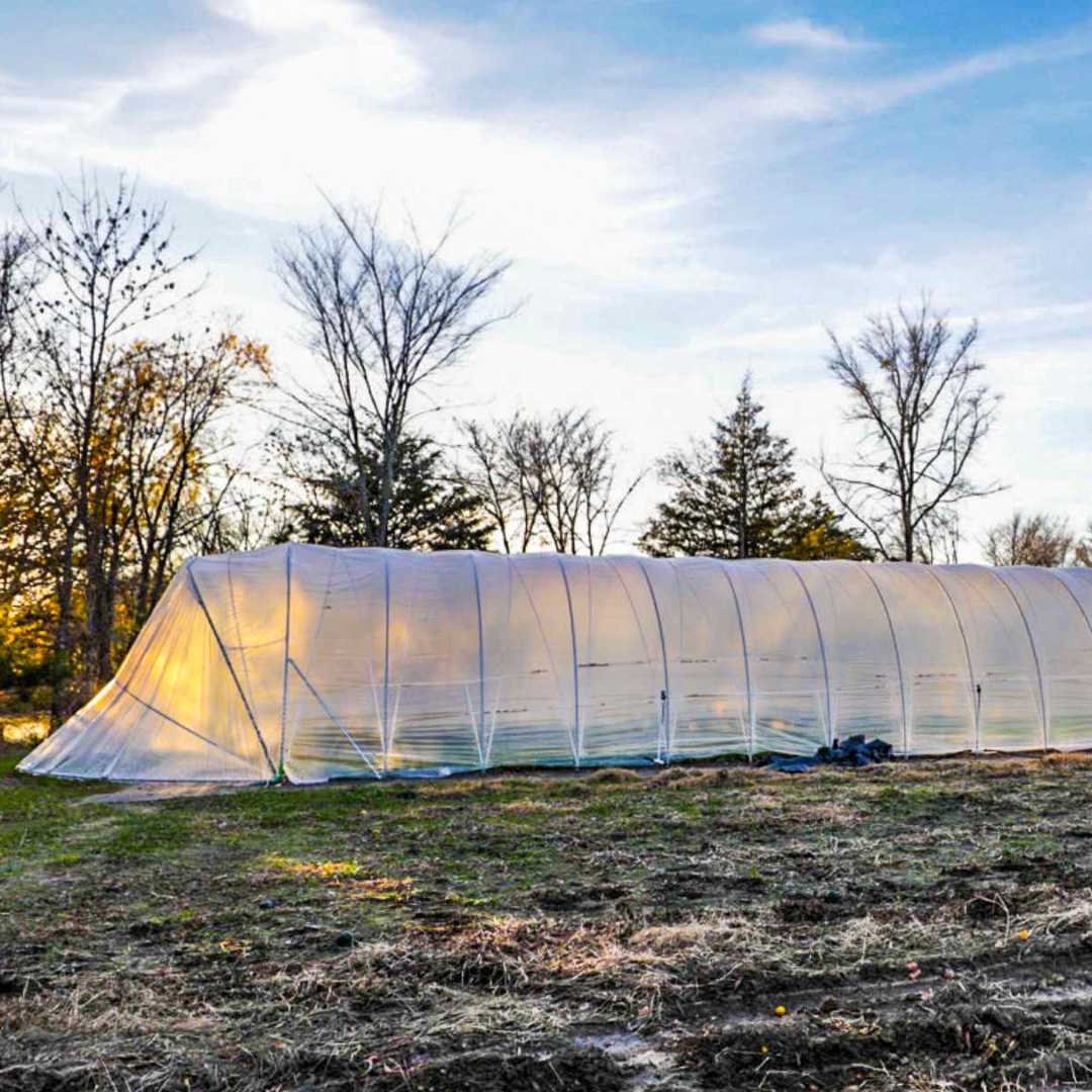 Bootstrap Farmer All-Metal Butterfly Door Caterpillar Tunnel Kit