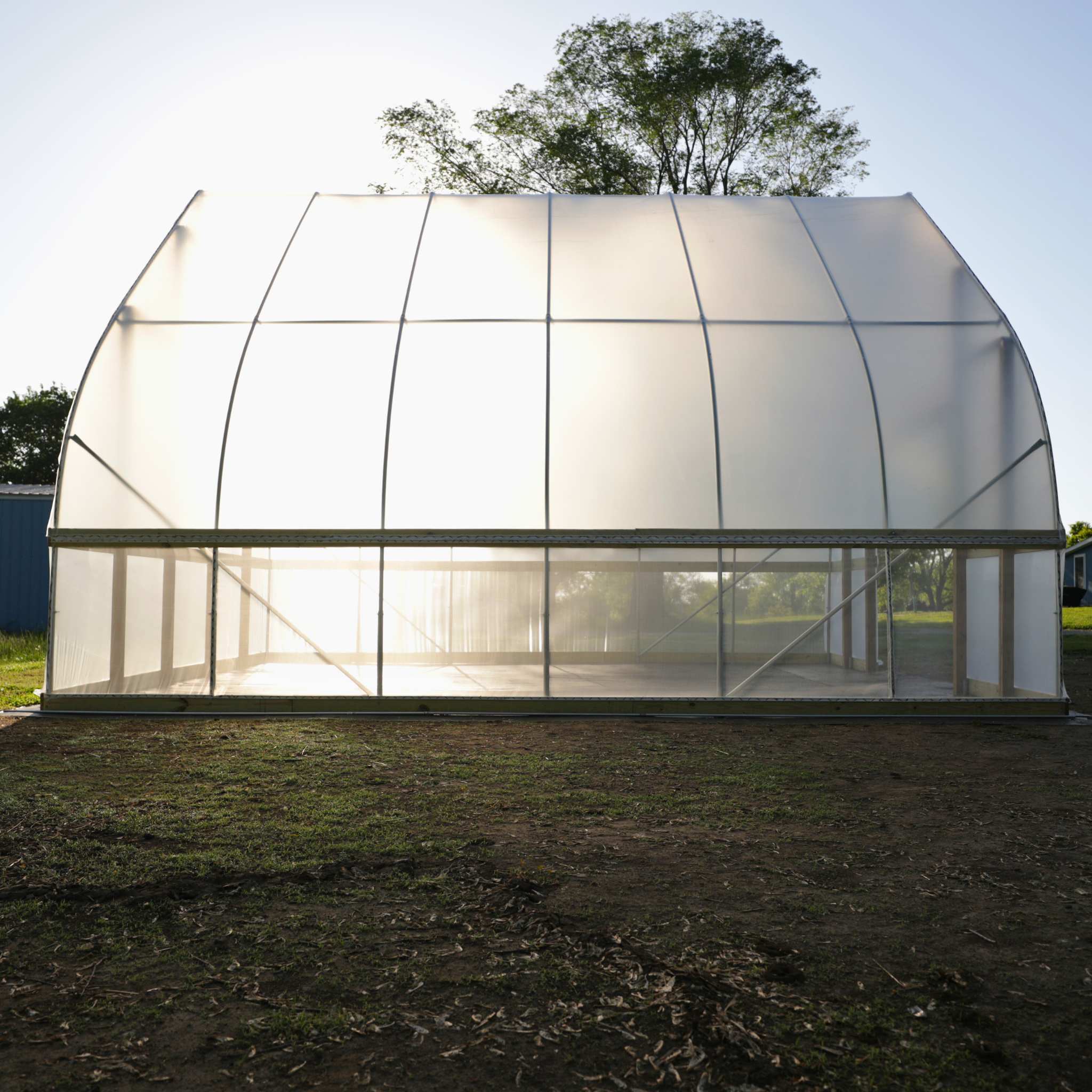 Bootstrap Farmer DIY Gothic Greenhouse Kit