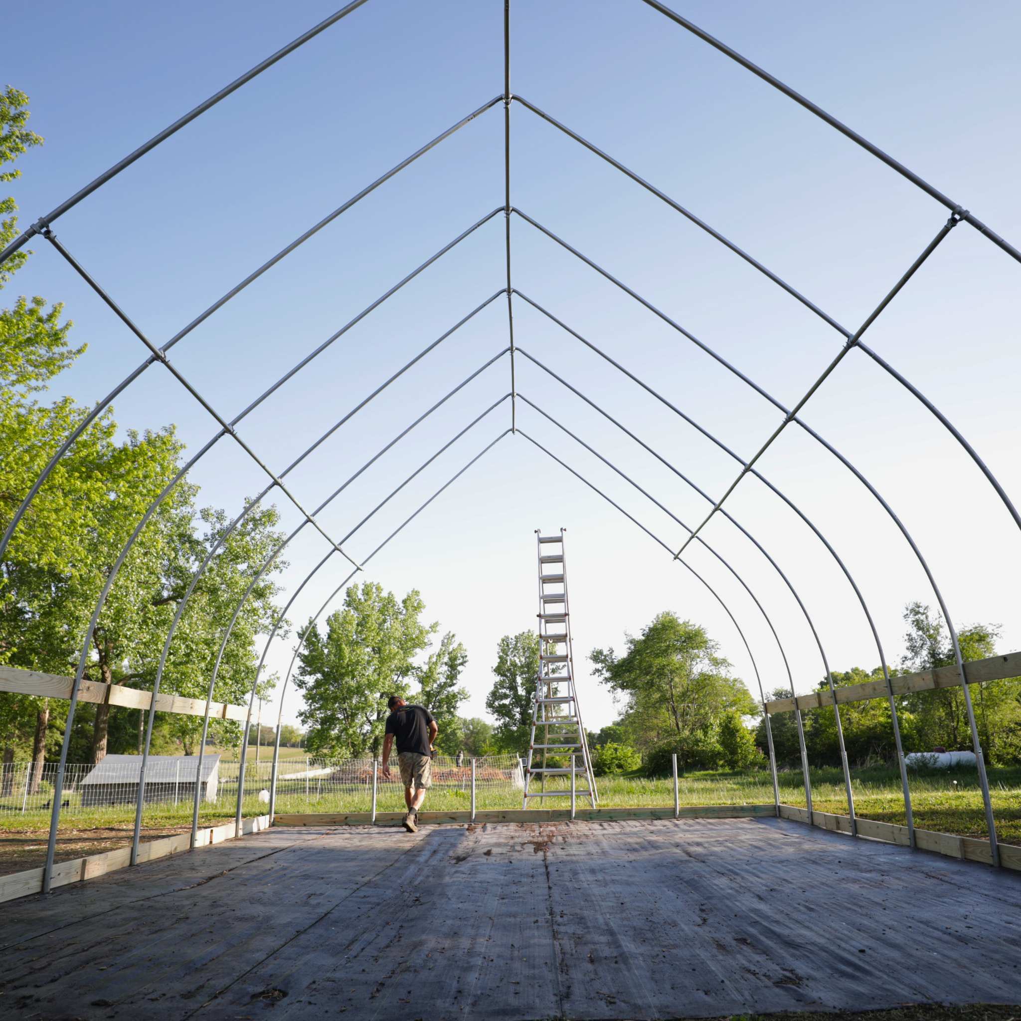 Bootstrap Farmer DIY Gothic Greenhouse Kit