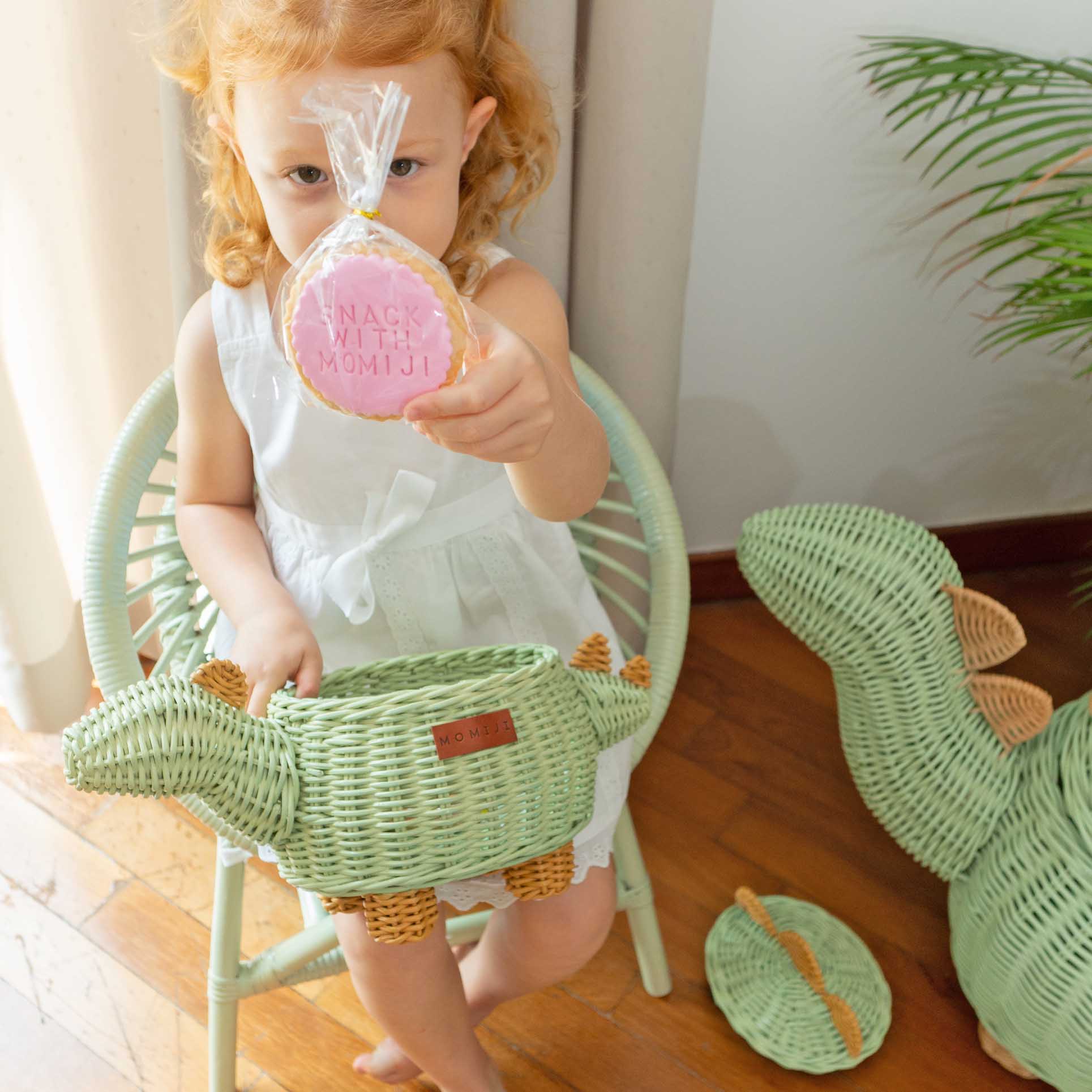 MOMIJI Dinosaur Rattan Storage Basket Mint Green - Small MOMIJI US LLC