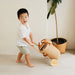 MOMIJI Eric Kids Shopping Trolley MOMIJI US LLC