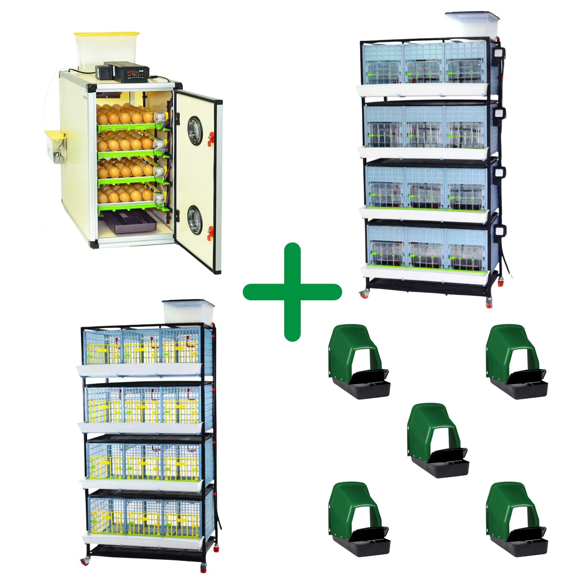 Hatching Time Free Range - Chicken Professional Kit