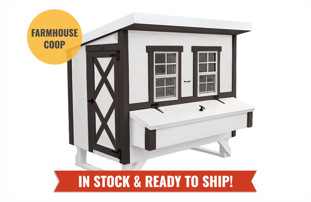 OverEZ 46OEZCKCP Large Chicken Coop