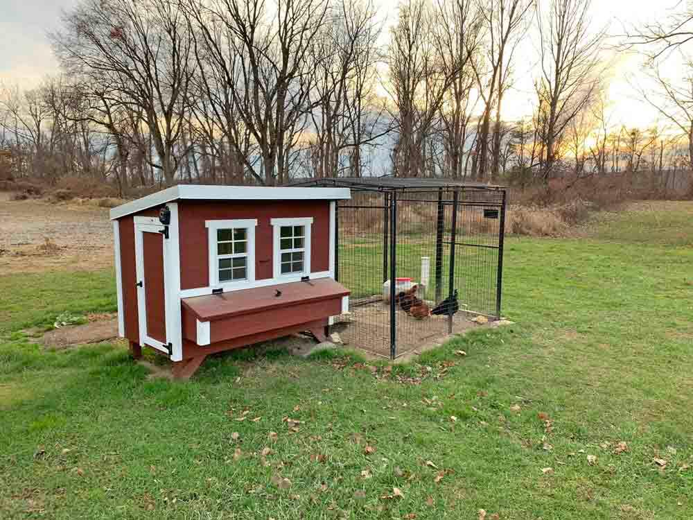 OverEZ 46OEZCKCP Large Chicken Coop