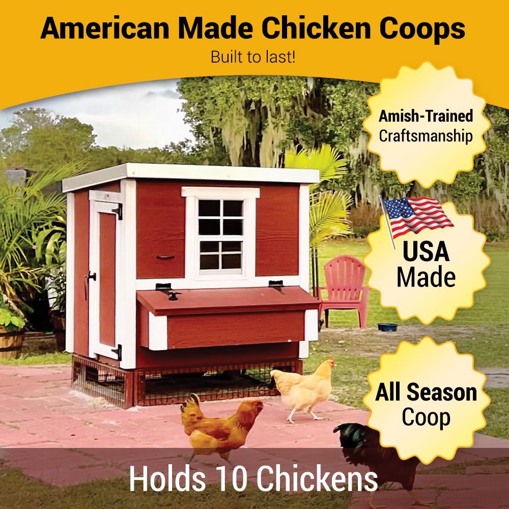 OverEZ Chicken Coop Medium - Up to 10 Chickens