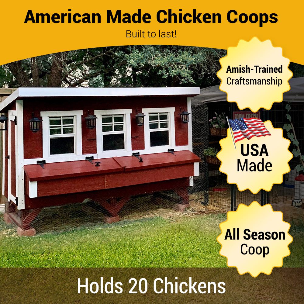 OverEZ XLOEZCKCP Chicken Coop XL