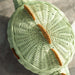 MOMIJI Dinosaur Rattan Storage Basket Mint Green - Medium MOMIJI US LLC
