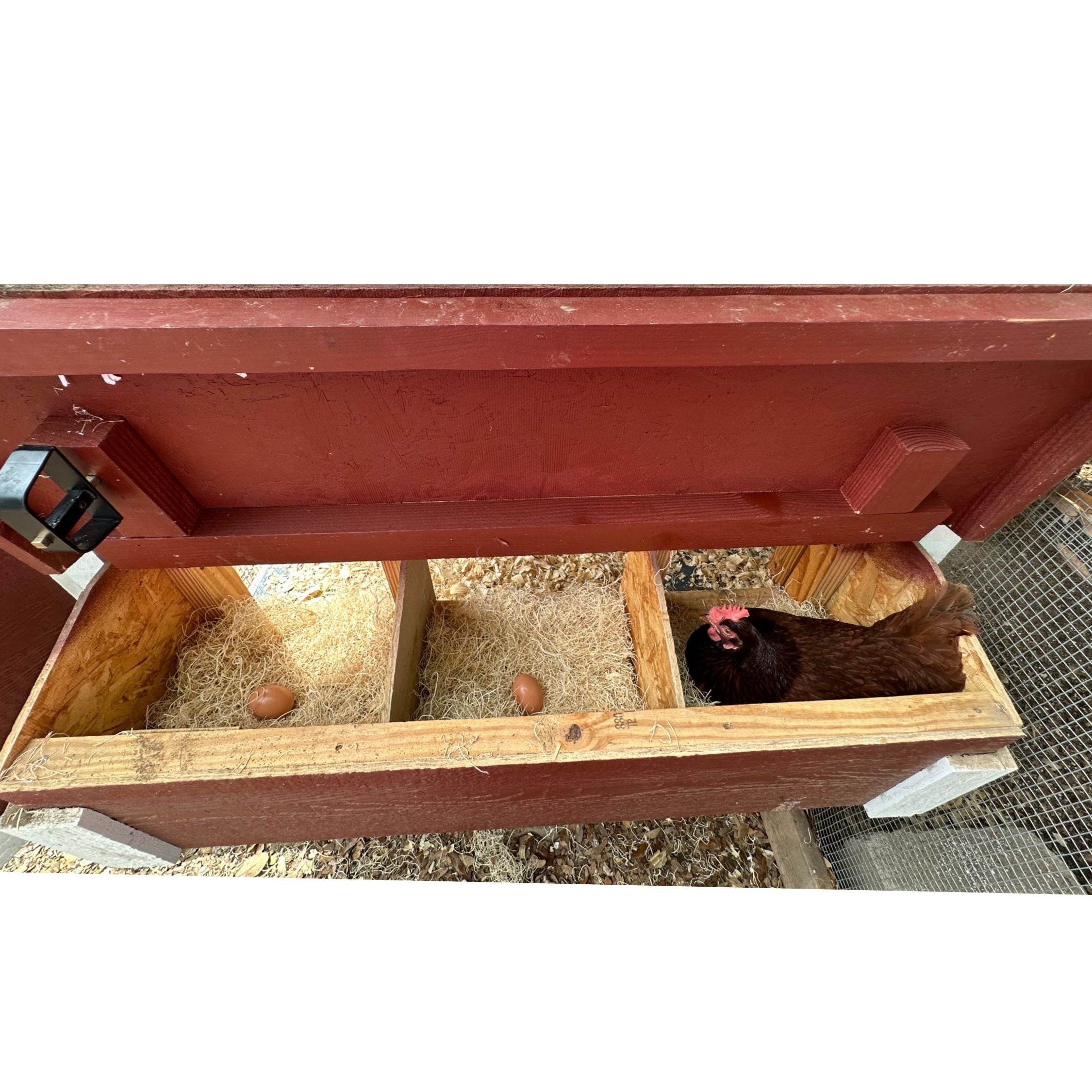 OverEZ Chicken Coop Medium - Up to 10 Chickens