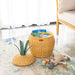 MOMIJI Pineapple Rattan Storage Basket Natural - Medium MOMIJI US LLC