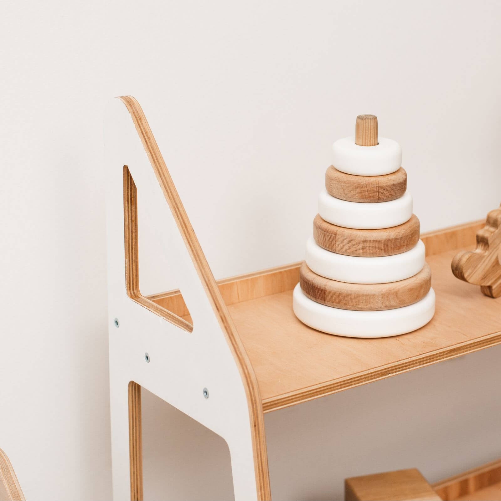Montessori Toy Shelf